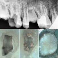 Dr. Nick's Dental Care