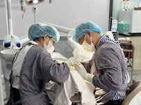 Nha khoa Quốc tế Minh An Dental Clinic
