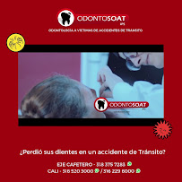 All-on-4, Zygomatic & Strategic Full Arch Implants | Veneers | Facial Feminization Surgery FFS | Dental Tourism by OdontoSOAT