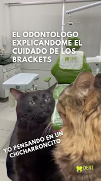 Clínica Odontológica Dent Saine Sin Dolor