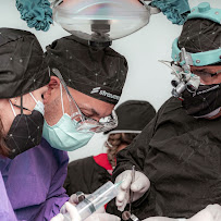ImplanTC Dental Implant Training Center by OdontoSOAT