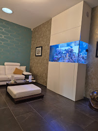 Braun Dental & Beauty