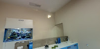 Braun Dental & Beauty