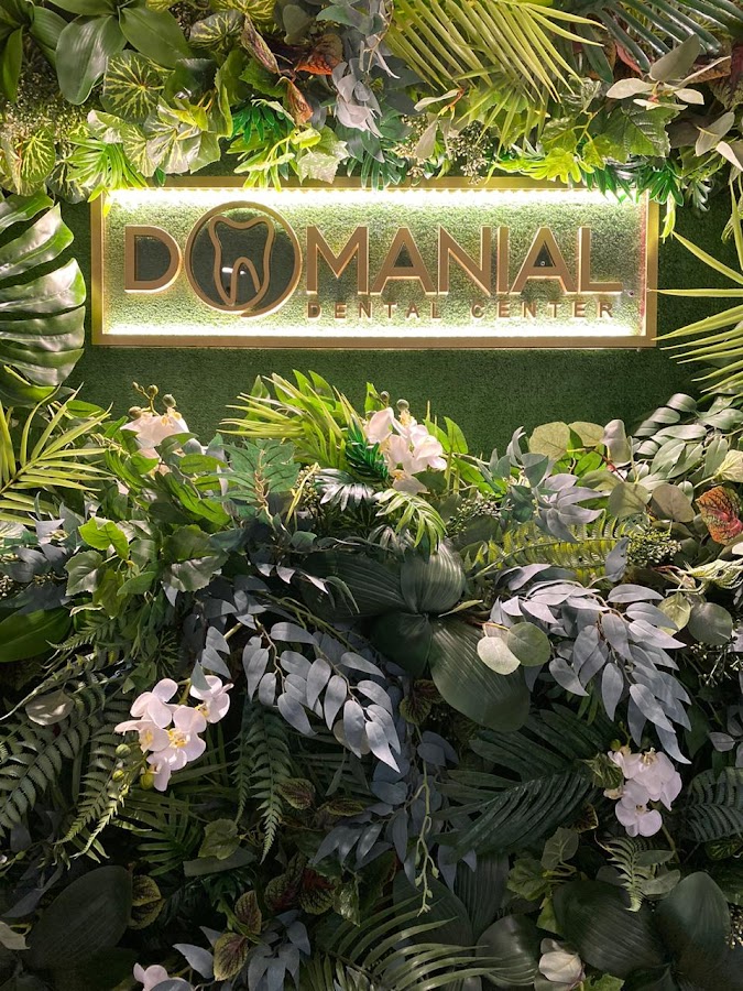 Domanial Dental Clinic