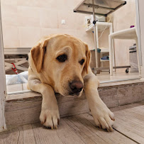 PILIĆ-specijalistička veterinarska praksa😺🐶🐱🐶🐰🐭🐇🐈🐩🐕🦮
