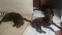 Hospital Veterinario Santamaría