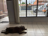 Clinica Veterinaria Dr. Astúa