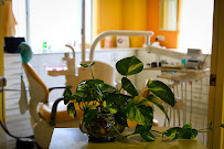 White Perfect Dental Clinic