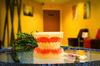 White Perfect Dental Clinic