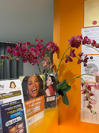 White Perfect Dental Clinic