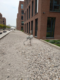 DENT MEDICO