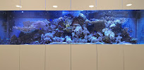 Dental Care Center Black Swan