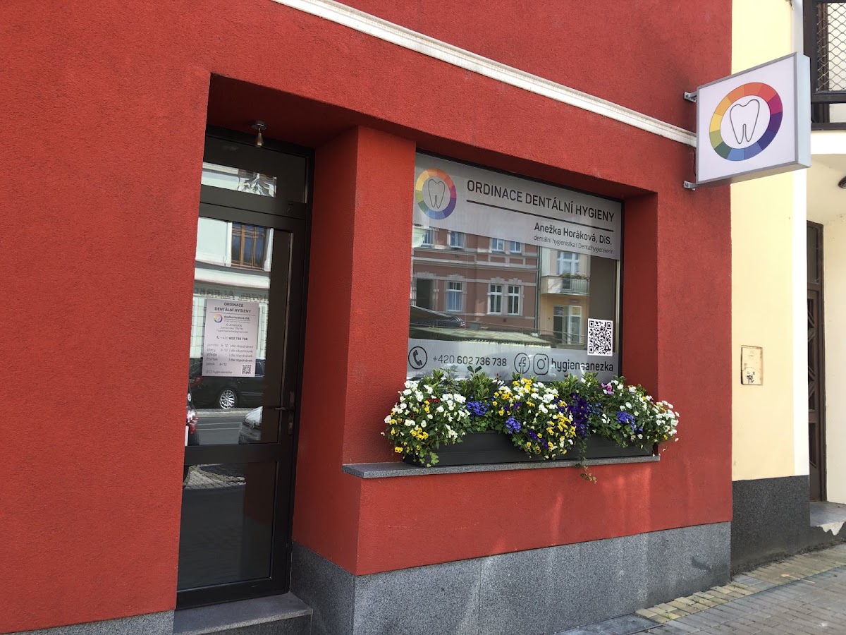 Hygiena Anežka