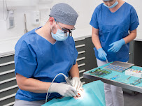 Smart Dental Bratislava