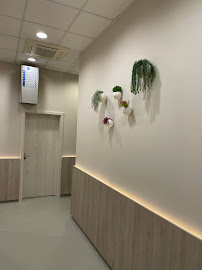 Schill Dental Clinic
