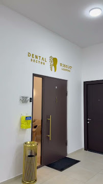 Dental Sector დენტალ სექტორი