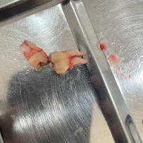 Nha khoa SEA Dental