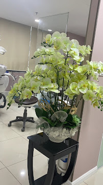 Dental imed