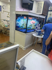 NHA KHOA TRANG DUNG DENTAL UY TÍN TẠI HÀ NỘI - CHUYÊN TRỒNG RĂNG IMPLANT, BỌC RĂNG SỨ, NIỀNG RĂNG, NHỔ RĂNG KHÔN