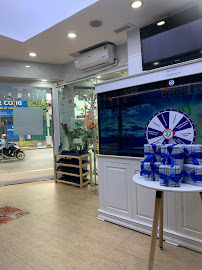 NHA KHOA TRANG DUNG DENTAL UY TÍN TẠI HÀ NỘI - CHUYÊN TRỒNG RĂNG IMPLANT, BỌC RĂNG SỨ, NIỀNG RĂNG, NHỔ RĂNG KHÔN
