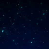 NHA KHOA VIỆT HÀN ĐÀ NẴNG