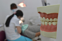 Dental Roses