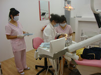 Dental Roses