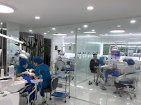 Shark Dental