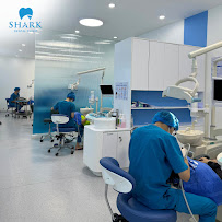 Shark Dental