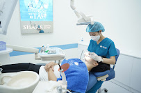 Shark Dental