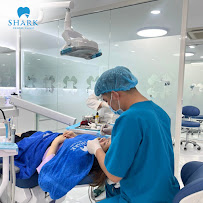 Shark Dental