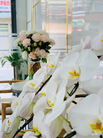 Doris International Dental