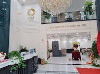 Delia International Dental Clinic