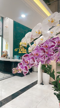 Delia International Dental Clinic