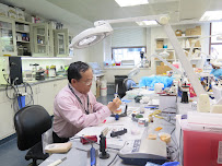 Asian Cosmetic Dentistry