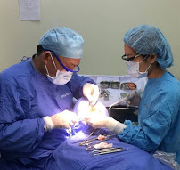 Asian Cosmetic Dentistry