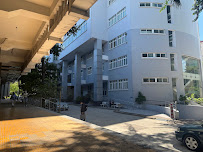 Dental University of Medicine and Pharmacy