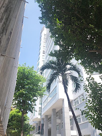 Dental University of Medicine and Pharmacy