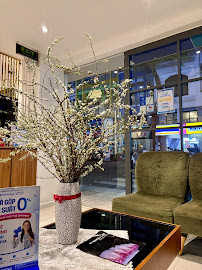 Nha Khoa Peace Dentistry - Quận 3
