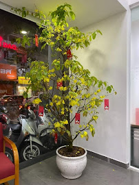 Nha Khoa Vinh An - Nha Khoa Tân Bình