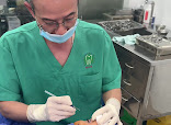 Dr Nguyen Thi Bich Ngoc