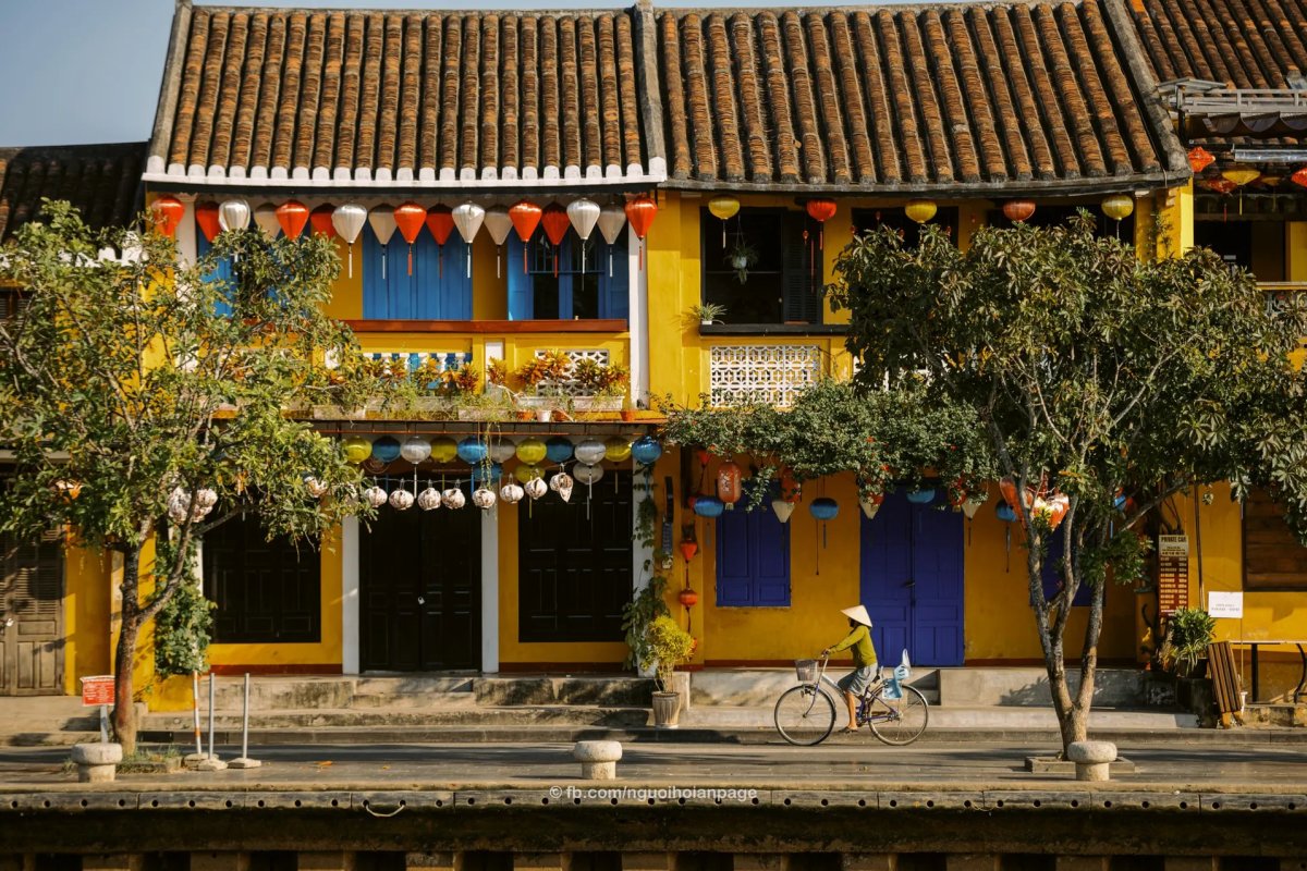 Dental Tourism Hoi An for Kiwis 2026: Save NZD 31,000 on All-on-4