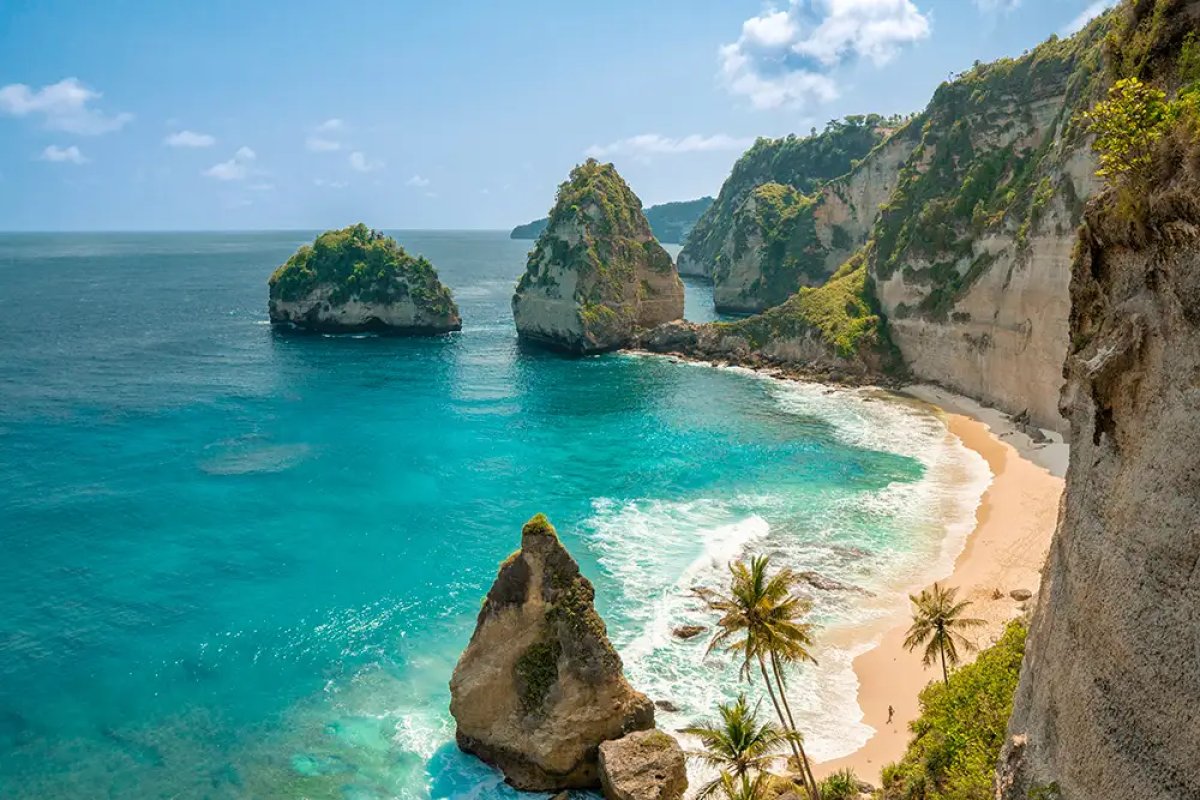 Is It Cheaper to Fly to Bali Than Pay Private in New Zealand? (2026)